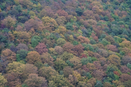 20260920_22 null