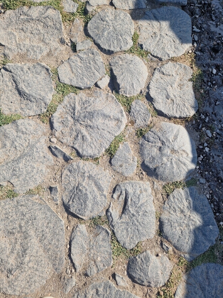 20260921_9 null