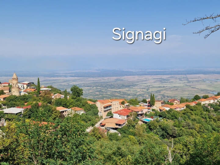 14-Signagi wino i Pirosmani